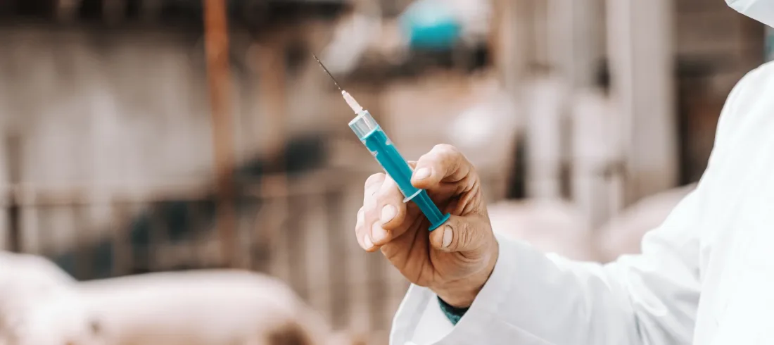 Yargıtay 21. Hukuk Dairesi Kararı - Domuz Gribi İş Kazası Olarak Kabul Edildi