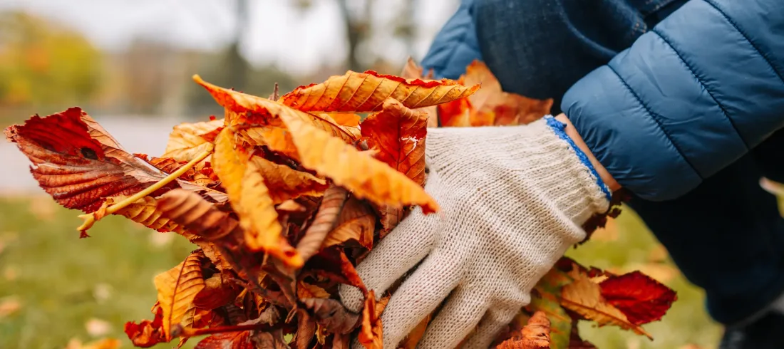 Yargıtay 9. Hukuk Dairesi Kararı – Mevsimlik İşte Askıya Alma İşlemi Fesih Niteliğinde Olmadığı Yargıtay 9. Hukuk Dairesi Kararı - Mevsimlik İşte Askıya Alma İşlemi Fesih Niteliğinde Olmadığı