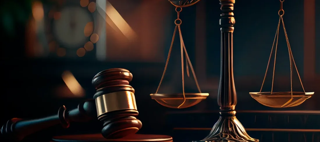 El Atmanın Önlenmesi (Müdahalenin Men’i) Davası