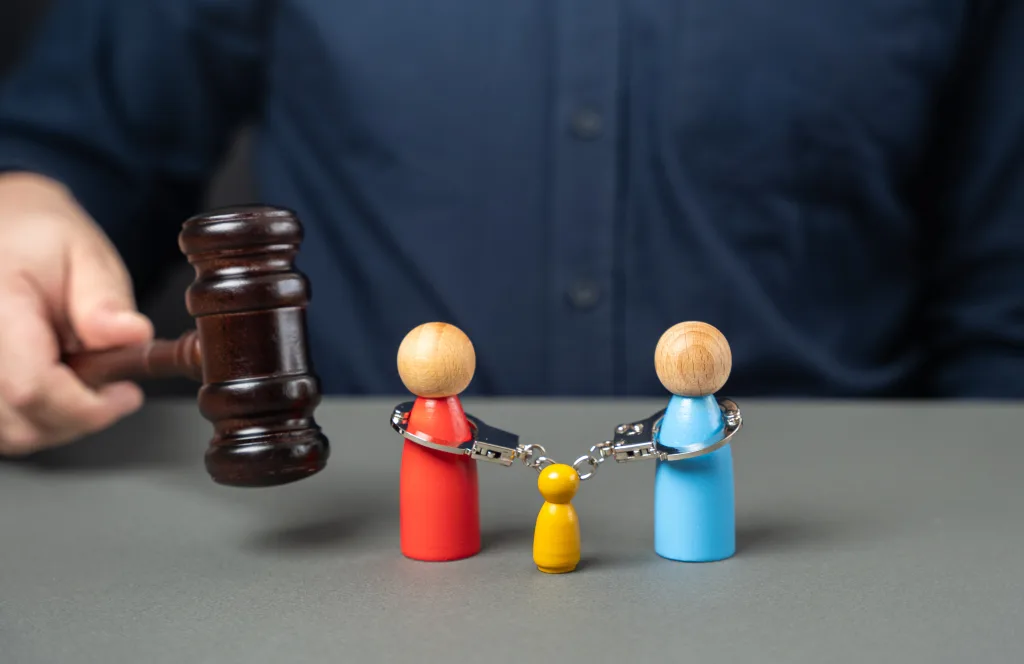 Soybağının Reddi Davası