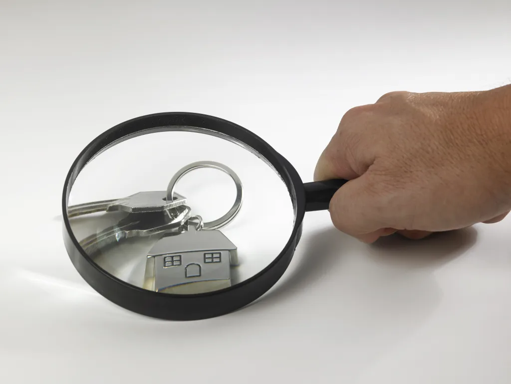 Kira Bedeli ve Tespit Davası   